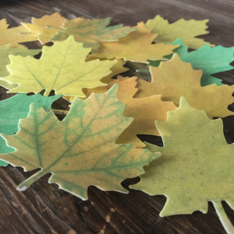 Edible Large Autumn Leaves